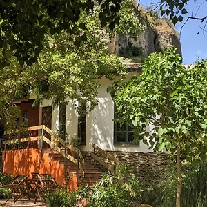 https://la-molina-setenil-de-las-bodegas.es-andalucia.com